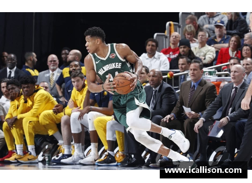 NBA热门球星：全面解析他们的生涯、成就与影响