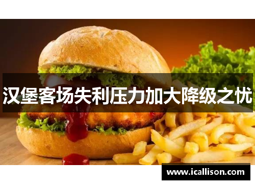 汉堡客场失利压力加大降级之忧