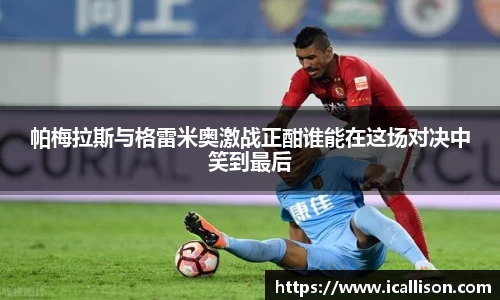 竞技宝官网网站
